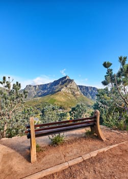 Relaxing botanical garden park bench to enjoy zen landscape view of scenic mountains and nature reserve. Table Mountain National Park in Cape Town, South Africa with calm blue sky and local seating