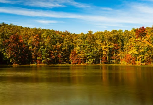 Fall leaves surround reservoir in Coopers Rock State Forest in WV