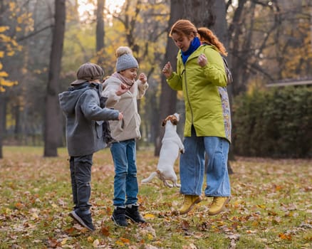 Caucasian children and red-haired woman play with dog jack russell terrier in autumn park.