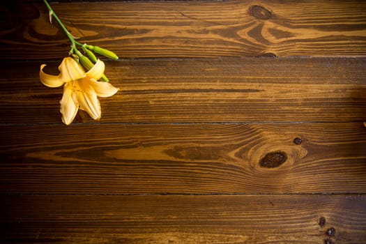 bouquet of beautiful yellow lilies on wooden table