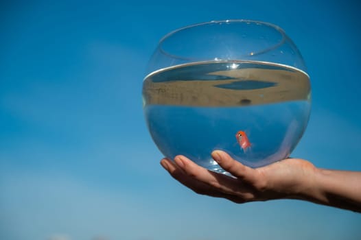 Woman holding round aquarium with goldfish on blue sky background.
