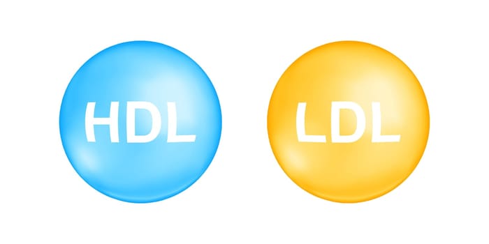 HDL and LDL cholesterol types. Good and bad cholesterin concept. High and low density lipoprotein balls isolated on white background. Elements for medical infographic