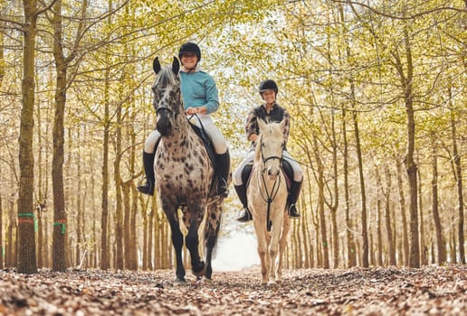 Portrait, women and horses in a forest, riding and happiness with animal care, stallion and countryside. Adventure, pets and girls with joy, activity or friends with hobby, bonding together and woods