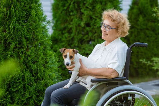 Elderly caucasian woman hugging a jack russell terrier dog while sitting in a wheelchair on a walk outdoors.