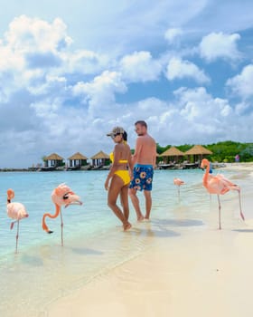 Couple of men and women on the Aruba beach with pink flamingos Aruba Island Caribbean.