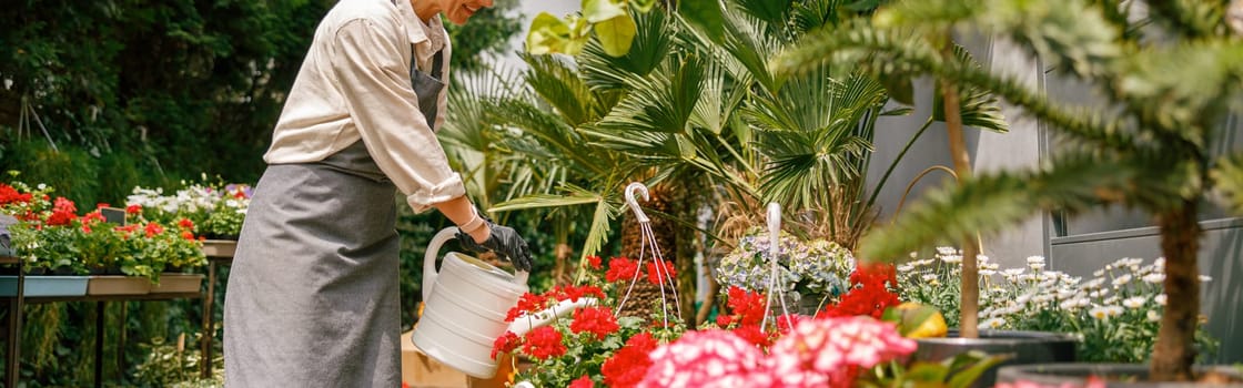 Professional woman gardener wearing apron taking care of plant watering it in floral shop