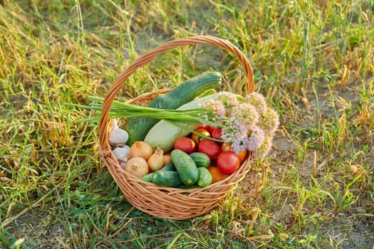 Basket with ripe natural vegetables on grass outdoor, nobody