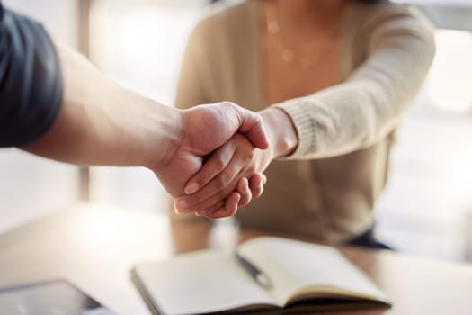 Business people, closeup or shaking hands in meeting, interview or success of b2b partnership, support collaboration or promotion. Team, HR negotiation or handshake of deal, onboarding or recruitment