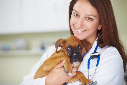 Vet service portrait, dog and happy woman for medical help, wellness healing career or animal healthcare support. Veterinary aid, specialist trust and veterinarian smile for pet canine health care