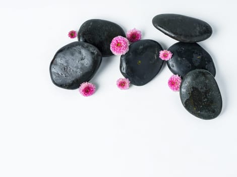 Spa stones and flowers on the white background