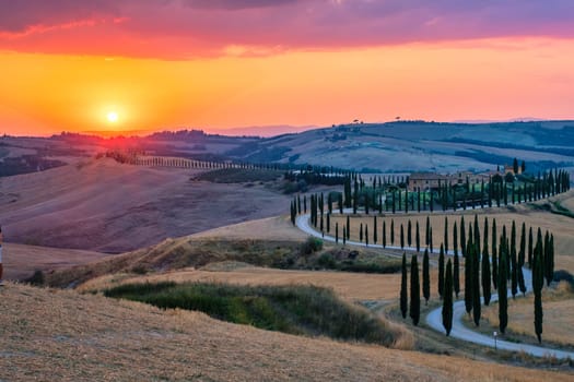 Tuscany landscape with grain fields, cypress trees on the hills at sunset in Tuscany, Italy, Europe