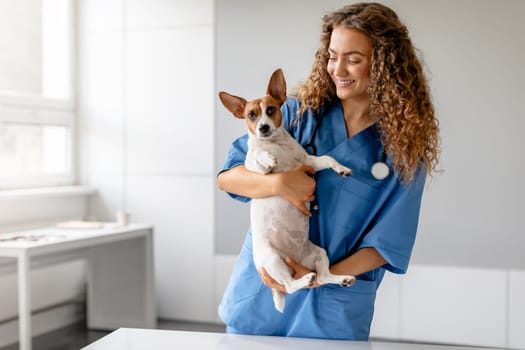 Smiling female vet holding a small dog in a clinic