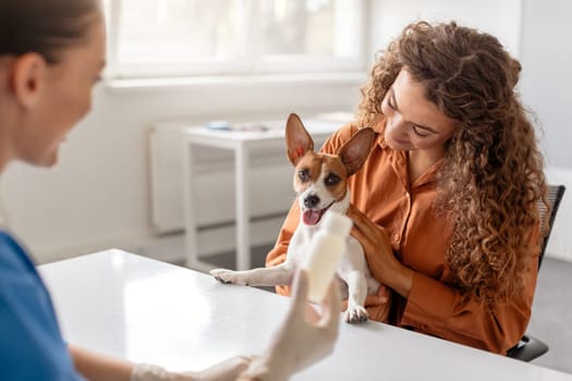Owner pets dog as vet explains care