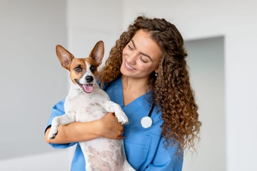 Veterinarian with pet dog in animal clinic