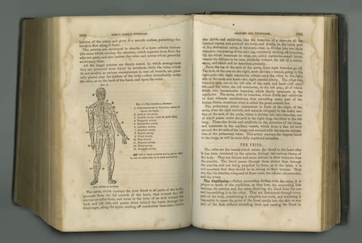Old book, vintage and anatomy of human body, veins or muscles in literature, manuscript or ancient scripture against a studio background. History novel, journal or illustration of study or research