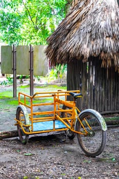 Rent a bike tricycle ride through the jungle Coba Ruins.
