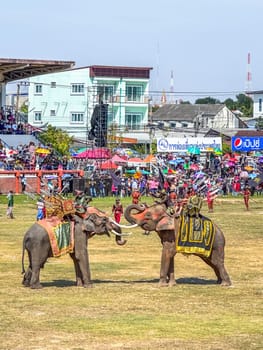Surin Elephant roundup festival 17 november 2023