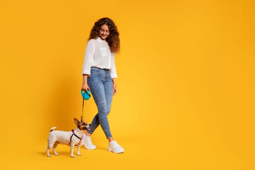 Woman walking a happy dog on a yellow background
