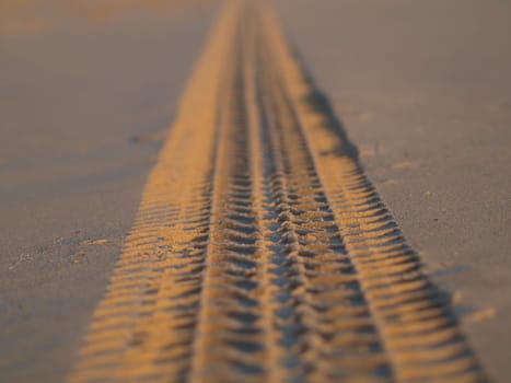 Tracks on the golden sand leading into the sea