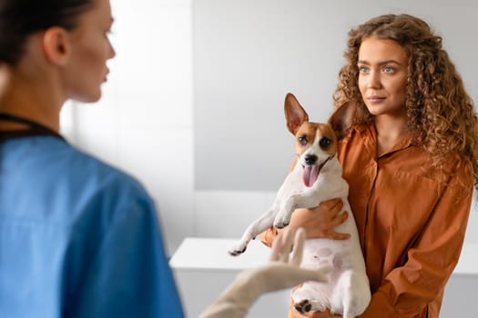 Female owner holding dog at vet consultation