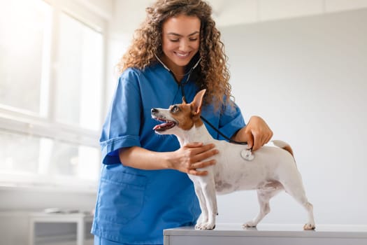 Vet uses stethoscope on joyful dog