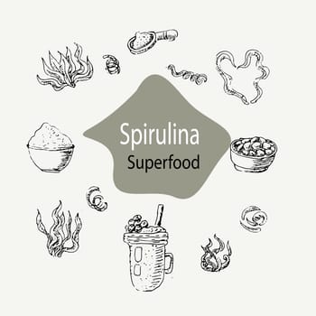 Detox concept spirulina seaweed background. Vector illustration in sketch hand drawn style. Can used for superfood banner, healthy products label, background.