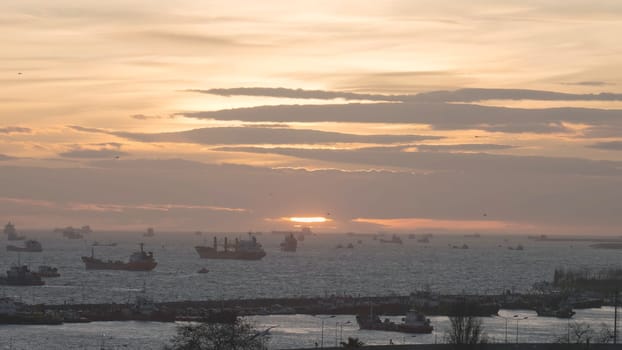 Sea port for cargo ships on background of sunset. Action. Many different ships float in sea off coast at sunset. Sea shipping port with seagulls on background of sunset horizon