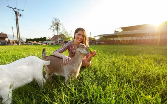Young woman petting brown goat kid, feeding it grass, strong sun light backlight over farm building in background