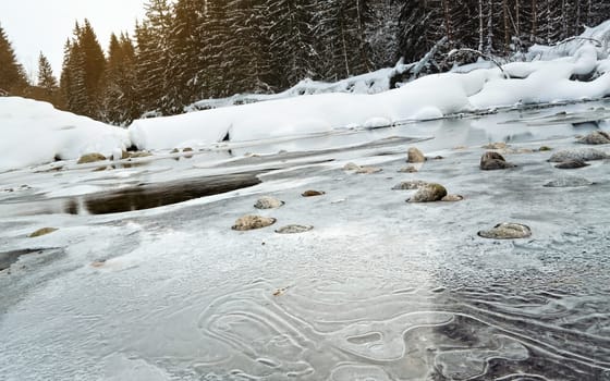 Morning on frozen river in winter, low angle photo, focus on ice patterns and stones, with coniferous trees and rising sun in distance
