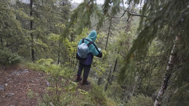 Male hiker with travel rucksack standing on the edge of high mountain during summer trek. Stock footage. Male explower standing on hill nd looking at tree tops.