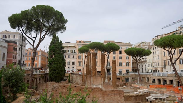 Ancient square in Rome with relics of the past. Action. Green trees growing in the town square surrounded by ancient buildings.