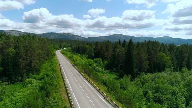 View from a helicopter. Scene. A large forest next to the road along which vehicles move next to green summer plants and bushes against a light blue sky.
