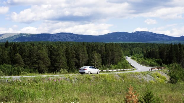 Curving asphalt road stretching along green summer meadow and coniferous forest. Scene. Concept of travelling.