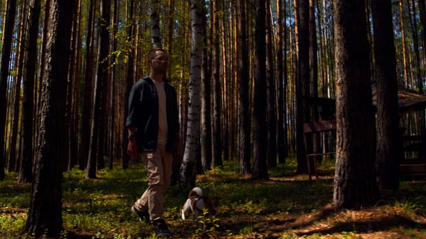 A man and walking in the woods with a small beautiful dog. Stock footage. Walking with a dog in a pine tree grove.