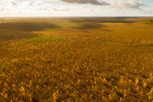 An aerial view of an autumn bog in Yelnya, Belarus, autumn. Ecosystems ecological problems climate change