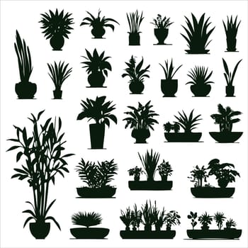 Set different potted houseplants silhouettes. Indoor flowers or plants