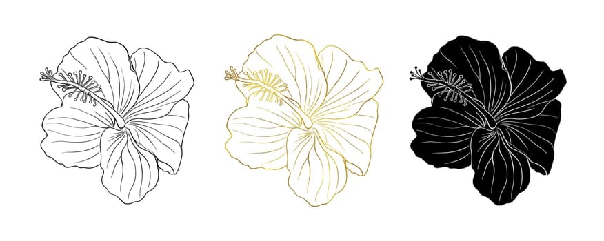 Gold foil, black ink and silhouette tropical hibiscus flower set. Chinese rose flower. Hand drawn vector line art illustration for logo, card or invite, tea herbs hibiskus tea. Isolated on white background.