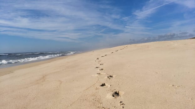 Following footprints on Beach Shore