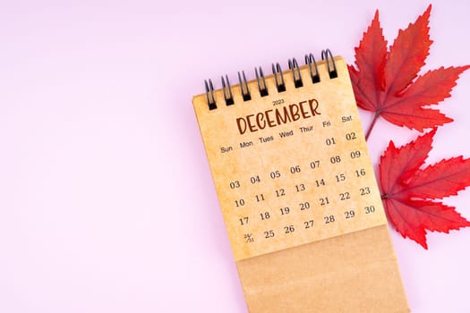 December 2023 monthly calendar and fall leaves on pink color background.