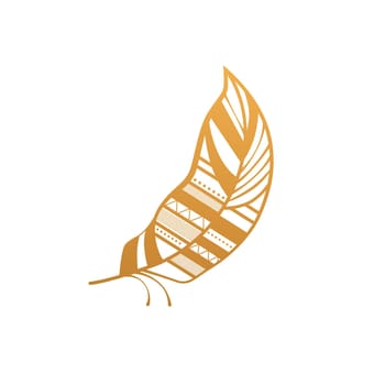 Gold feather with different pattern and native ethnic ornament vector illustration
