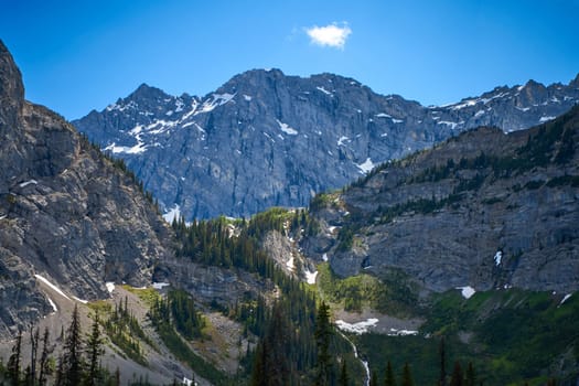 The rocky mountains of Alberta are surrounded by coniferous forests on a sunny summer day.