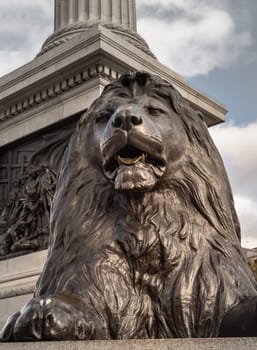 One of the four landseer bronze lions statue at the base of Nelson's column in front of National Gallery building. 