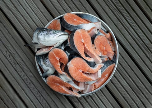 Metal baking tray filled with Large pieces of fresh raw atlantic salmon and Fresh salmon head. 