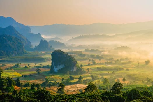 Sunrise with fog and mist at Phu Langka mountains in Northern Thailand, Mountain View of Phu Lanka