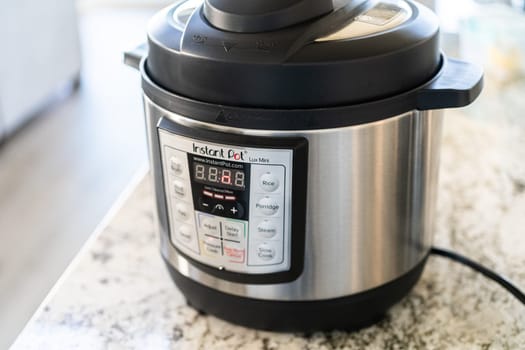 Multicooker Magic: Spicing Up Baby Back Ribs