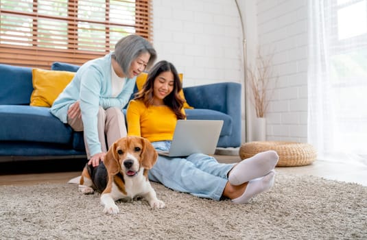 Asian senior and young woman enjoy with using laptop in living room and beagle dog also stay near and beside of them in the house with day light.