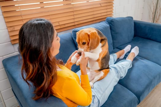 Back of young Asian girl hold foreleg of beagle dog stand on her lap on the sofa in the house with day light and they look happy to fun and relax together.