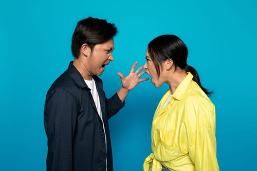 An Asian man and woman are facing each other with open mouths, as if engaged in a heated argument