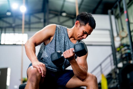 Asian sport man sit on chair and hold and lift dumbbell up with one hand and look to arm muscle in fitness gym and look concentrate to training.
