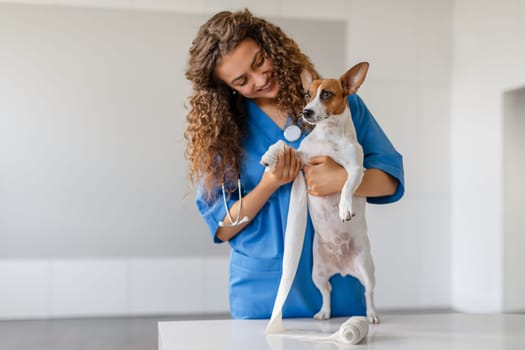 Female vet with curly hair bandaging a dog's paw